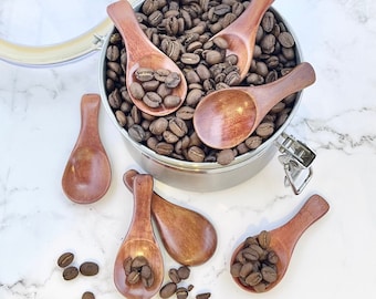 Small Wooden Spoon for Coffee Scoop Wooden Scoop for Sugar Mini Spoon for Spice Scoop for Sugar Spoon for Honey Bulk Mini Wooden Spoon Bulk