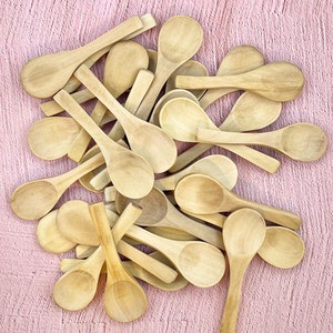 Coffee Tea Mini Sugar Spoon Bar Dining Wooden Round Handle Scoop