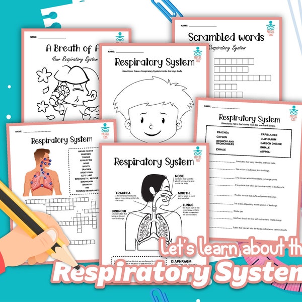 Respiratory System Activity Printables