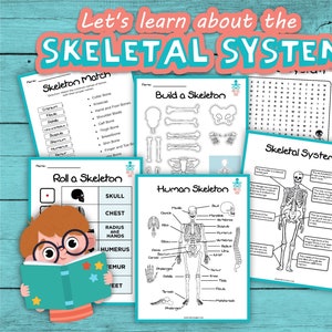 Let&#39;s Learn About the Skeletal System! Educational Worksheets, Printable Activities for Children, Homeschool Resources