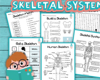 Låt oss lära oss om skelettsystemet! Pedagogiska arbetsblad, utskrivbara aktiviteter för barn, resurser för hemundervisning