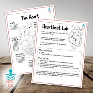 May include: A black and white printable worksheet with a diagram of the human heart and instructions for a heartbeat lab. The worksheet includes questions about how many times the heart beats per minute while sitting, after running, and how long someone can hold their breath.