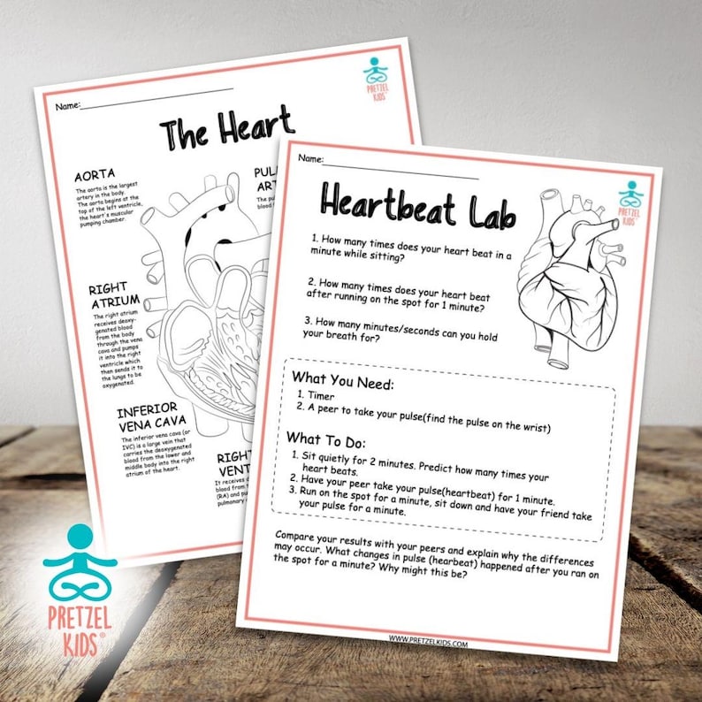 May include: A black and white printable worksheet with a diagram of the human heart and instructions for a heartbeat lab. The worksheet includes questions about how many times the heart beats per minute while sitting, after running, and how long someone can hold their breath.