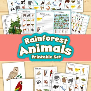 Rainforest Animals Printable Activities