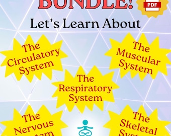 Let's Learn About the Human Body! Bundle of Educational Worksheets, Printable Activities for Children, Homeschool Resources