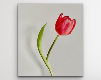 Chic - Tulip Wall Art Print, Floral Wall Art, Tulip Photograph, Photo Art, Botanical Art, Giclée Print