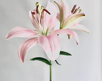 Lily Wall Art Print, Floral Wall Art, Lily Photograph, Photo Art, Giclée Print