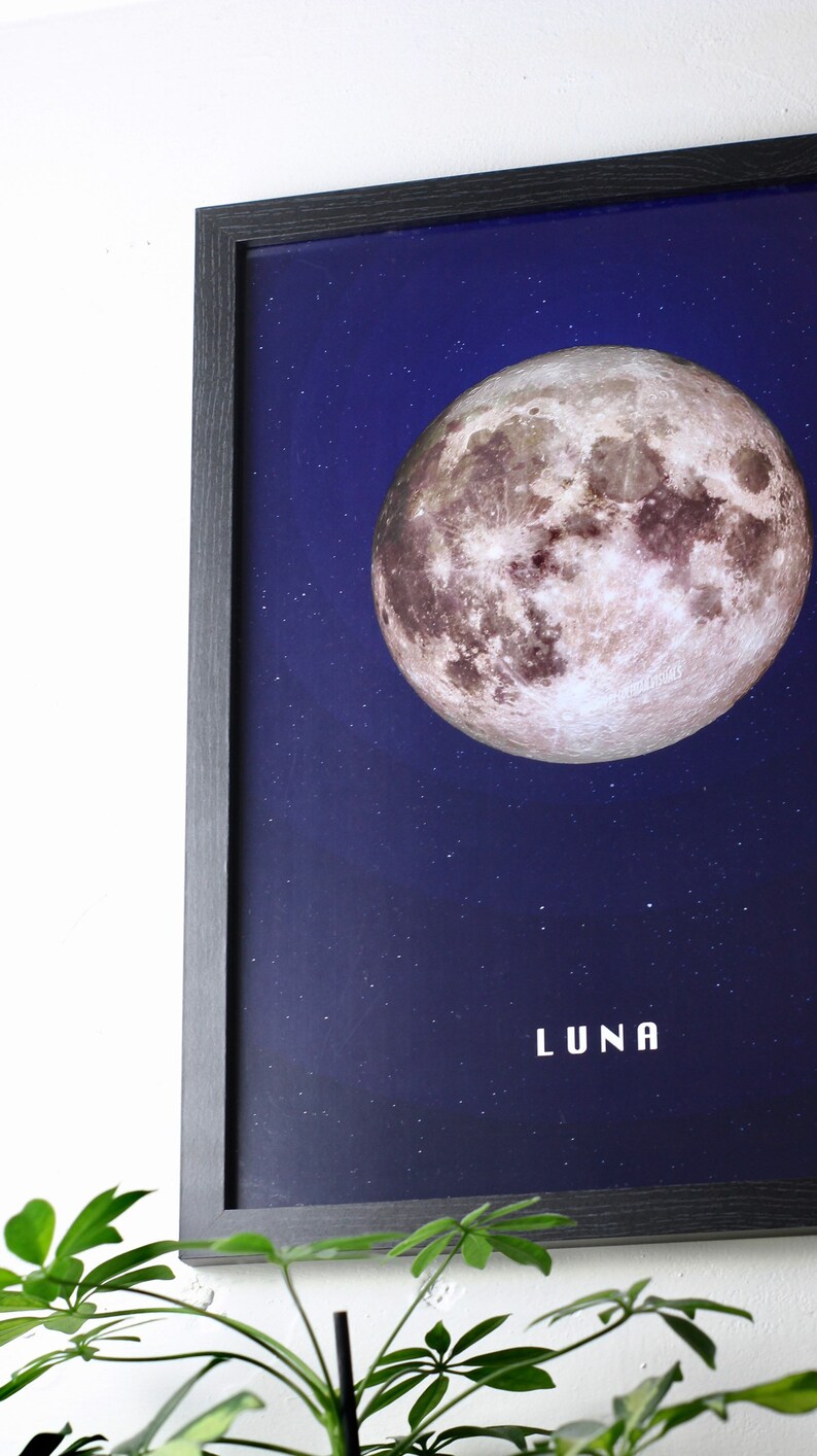 A3 Luna Moon.