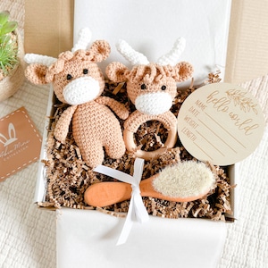 Baby Shower Gift Set|Cute Neutral Gift for Baby Girl,Boy|Crochet Amigurumi Highland Cow Toy and  Rattle|Welcome Gift, New Mom Gift