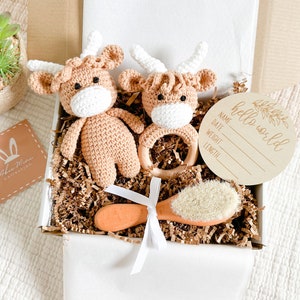 Babyparty Geschenk Set|Neutrales Geschenk für Baby Mädchen,Jungen|Gehäkeltes Amigurumi Highland Kuh Spielzeug und Rassel|Willkommensgeschenk, neue Mutter Geschenk