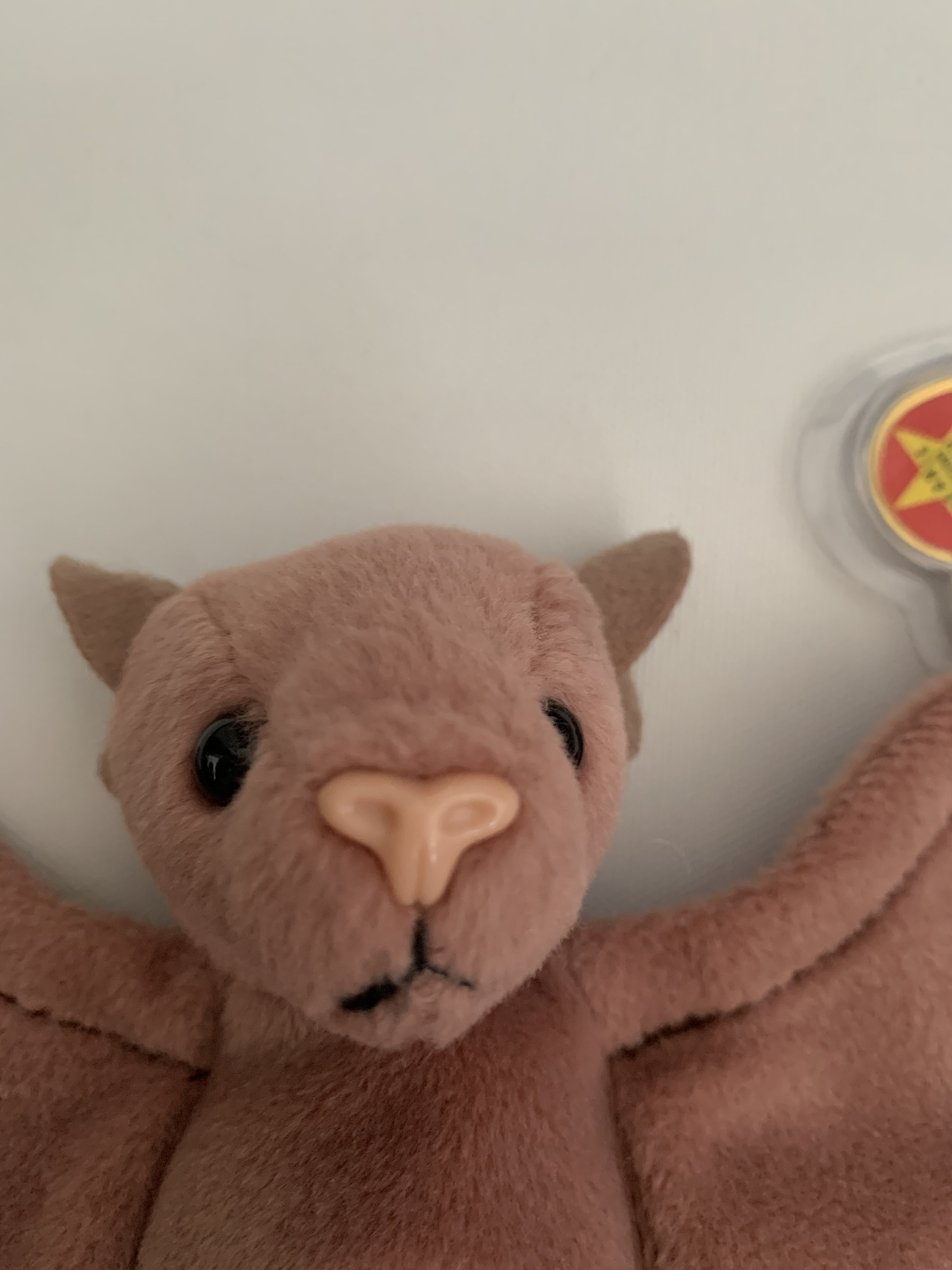 Batty the Bat TY Beanie Baby 1996 Etsy