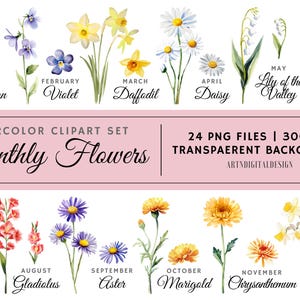 Clipart de flores del mes de nacimiento en acuarela, paquete PNG floral antiguo, clipart de cumpleaños, flores del mes de nacimiento, gráfico floral, uso comercial