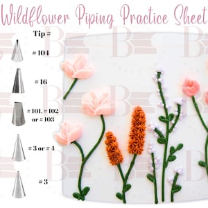 Puede incluir: Una hoja de práctica blanca con el texto "Wildflower Piping Practice Sheet" y ejemplos de flores con glaseado rosa, naranja y blanco. Incluye boquillas #104, #16, #101, #102, #103, #3 y #4.