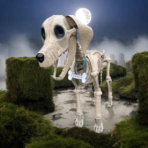 Dog Tag for Home Depot Skelly Dog, 3D Printed with ASA, UV protection.