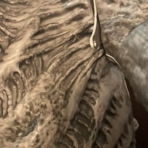 May include: Close-up of a textured, gray and brown fabric with a white strap. The fabric has a wrinkled, crinkled appearance.