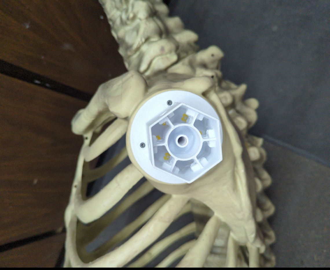 12 Ft Home Depot Skelly Full Shoulder Insert Replacement Etsy