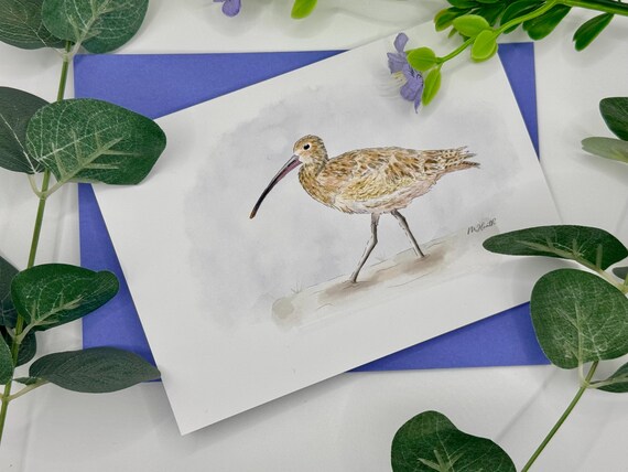 Curlew card | birthday card| get well card | Cute card | general card | card for him | card for her | bird lovers | whimbrel card | blank
