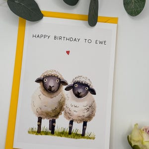 Carte d'amoureux des moutons | carte d'anniversaire | carte de campagne | anniversaire à la brebis | carte postale pour lui | comique mignon | agriculture | animal