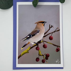 Tarjeta de ala de cera / tarjeta de cumpleaños / tarjeta de recuperación / tarjeta de pájaro / tarjeta general / tarjeta para él / para ella / amantes de las aves / tarjeta de felicitación / en blanco