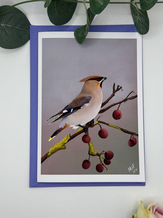 Waxwing card | birthday card| get well card | bird card | general card | card for him | for her | bird lovers | greetings card | blank