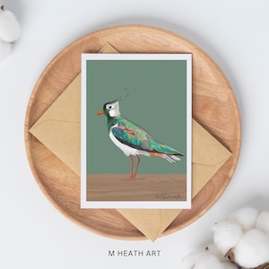 Kievitkaart | verjaardagskaart| beterschapskaart | vogelkaart | algemene kaart | kaart voor hem | voor haar | vogelliefhebbers | wenskaart | blanco