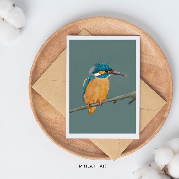 Kingfisher card | birthday card| get well card | bird card | general card | card for him | for her | bird lovers | greetings card | blank