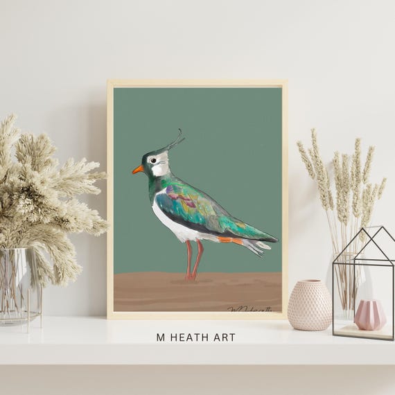 Lapwing bird art | illustration bird |  gift wall art | fine art print | nature lovers | watercolour | animal wall art | print | ornithology