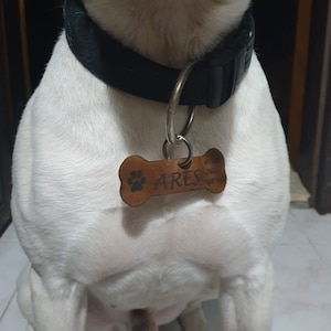 Leder Hunde Namensanhänger | Gepäckanhänger | Katzen ID Anhänger | Hundehalsband aus Leder | Hunde namensanhänger | Personalisierter Hundeanhänger