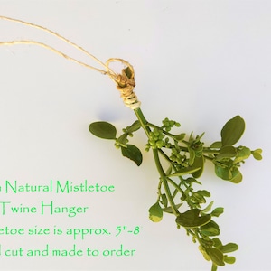 Fresh Mistletoe with Jute Hanger 5"- 8"