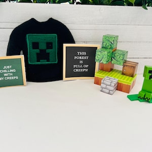 May include: A black sweater with a green Creeper face graphic.  There are three signs that say "Just chilling with my creeps", "This forest is full of creeps!" and a sign with a Minecraft Creeper figure.
