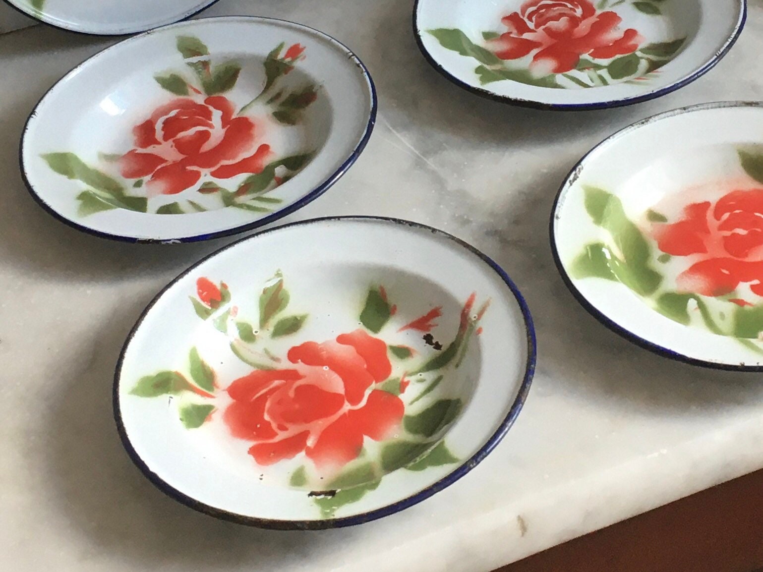 9 Assiettes Florales Français Vintage en Émail