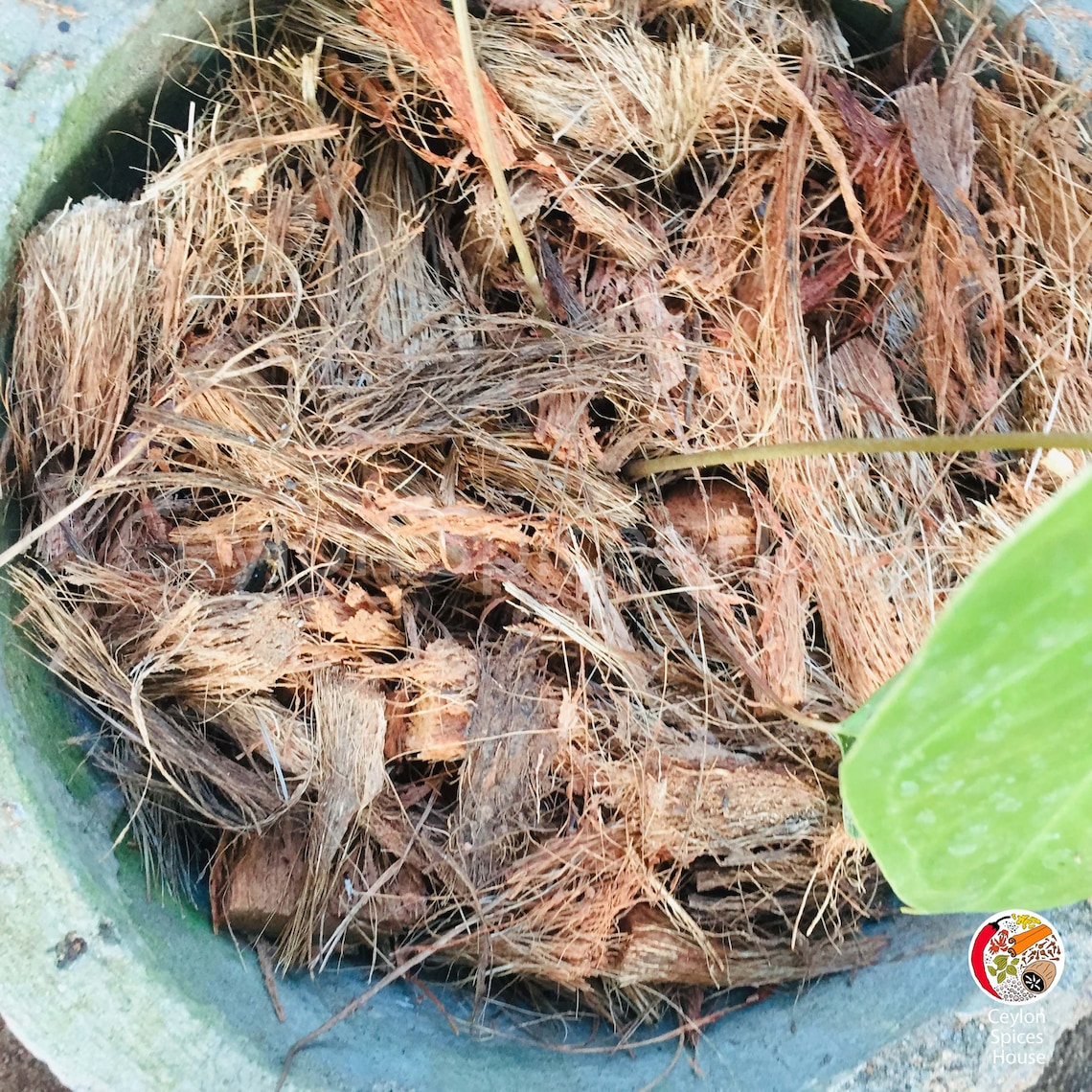 Coconut Husk Chips For Growing Plants /Retains Water Etsy