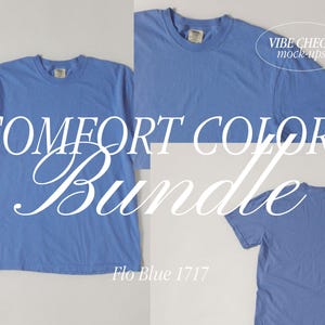 May include: Three blue t-shirts in different sizes, with the text "COMFORT COLORS Bundle" and "Flo Blue 1717" printed on the bottom. The text "VIBE CHECK mock-ups" is printed on a white oval in the top right corner.