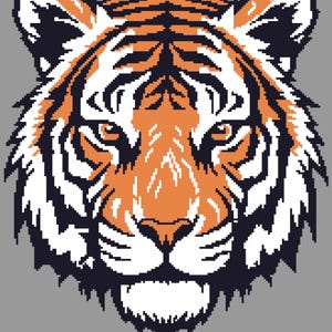 Motif Graphghan au crochet Tigre féroce