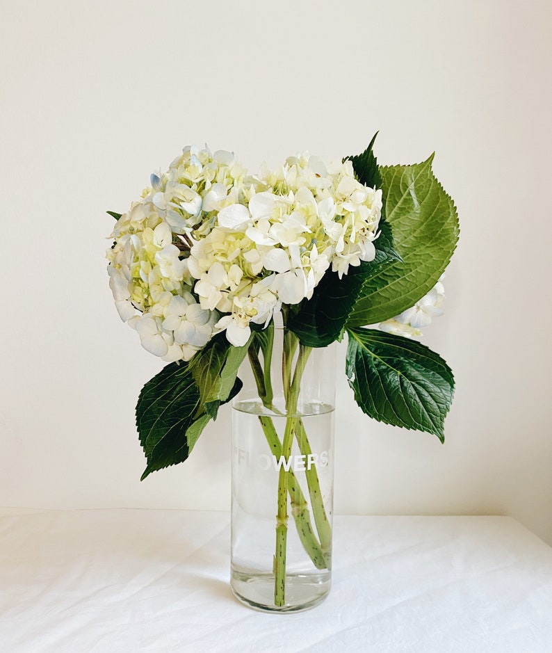 Sneaker flower Vase 2.0 Offwhite Inspired Etsy