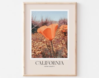 California Travel Print, California Poster, California Travel Photo, California Wall Art, California Canvas, California Travel