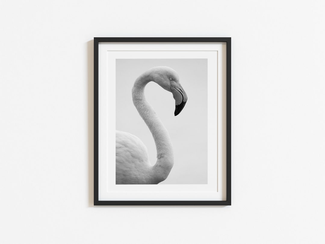 Black and White Flamingo Photo, Monochrome Poster, Bird Style Art Print