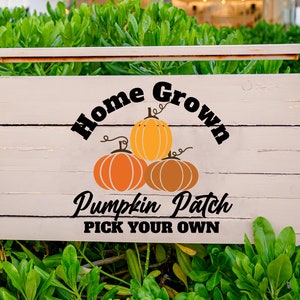 Op de afbeelding: Een wit houten bord met zwarte tekst die "Home Grown Pumpkin Patch Pick Your Own" luidt. Het bord heeft een afbeelding van drie oranje pompoenen met bruine stelen.