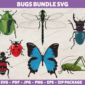 Insects SVG PNG Pdf eps jpg, Bugs Svg, Butterfly Svg, Beetle Svg, Ladybug Svg, Grasshopper Svg, Dragonfly Svg, Bugs Life Svg, Nature Svg