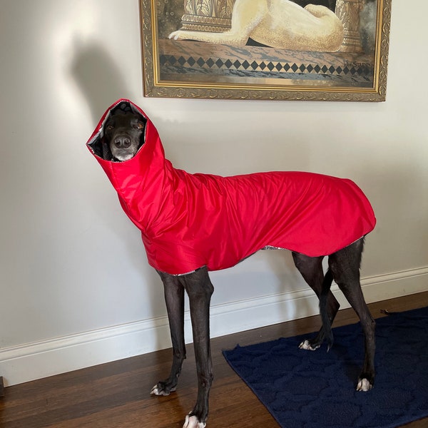 Custom made Greyhound rain coat sighthound galgo rain jacket rip stop