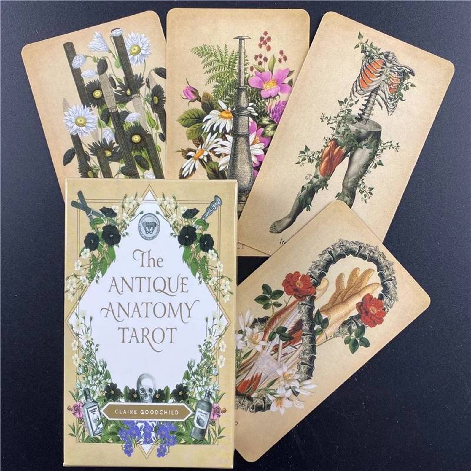 The antique anatomy Oracle Tarot Card Deck 78 cards divination Etsy