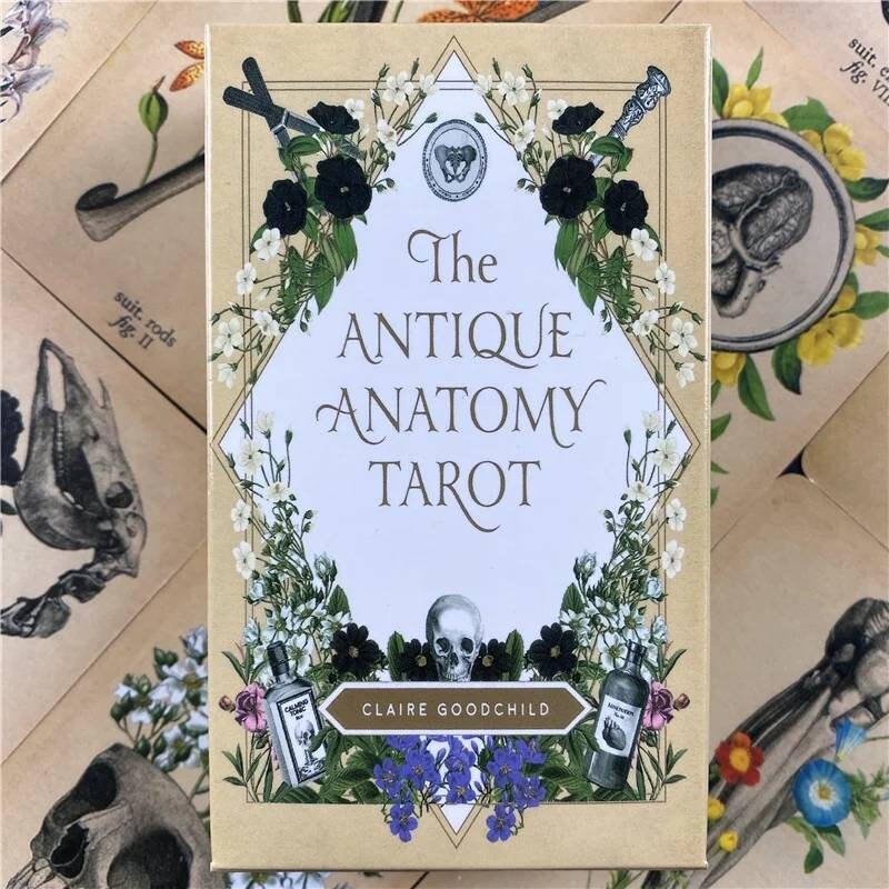 The antique anatomy Oracle Tarot Card Deck 78 cards divination | Etsy