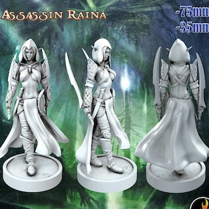 Female Elf Assassin Sexy Pinup  | 28mm, 32mm, 75mm Scale | Dungeons and Dragons 5e Miniatures | DnD Mini |