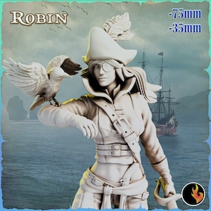 Robin Sexy Female Pinup Swashbuckler Fighter Pirate Gunslinger | 28mm, 32mm, 75mm Scale | Dungeons and Dragons 5e Miniatures | DnD Mini |