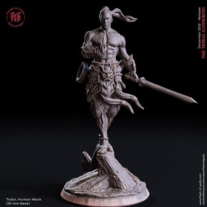 Menschenmönch | 28mm, 32mm, 54mm, 75mm, 100mm Maßstab Resin Miniatur | Dungeons and Dragons | Fleisch der Götter