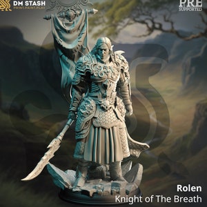 High Elf Lord Paladin Fighter, Moon Elf,  Eladrin Miniature | 28mm, 32mm,54mm,75mm, 100mm Scales | Dungeons and Dragons Pathfinder |DM Stash