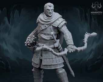 Fighter, Paladin, Ranger