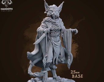 Tabaxi ,Rogue, Swashbuckler, Fighter, - Werepanther, Werecat, Catfolk | 28mm, 32mm,54mm, 75mm, 100mm Scale | D and D Pathfinder |