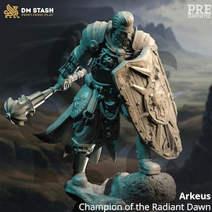 Menschen Kleriker Paladin Streitkolben und Schild. Unbemalte Miniatur | 28mm, 32mm,54mm,75mm, 100mm Skalen | Dungeons and Dragons Pathfinder | DM Versteck