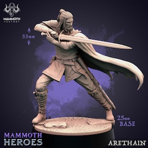Human Male Fighter Ranger | 28mm, 32mm,54mm,75mm,100mm Resin Miniature |Dungeons and Dragons |Arethain Mammoth Factory
